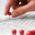 14 Fornecedores para Restaurantes no Atacado: Food Service, Higiene e Cozinha Profissional
